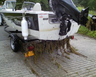 Friends of Lake Leelanau